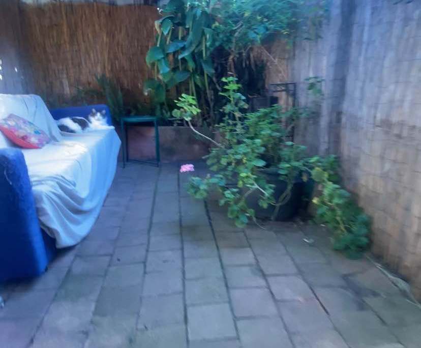 Room in a share house