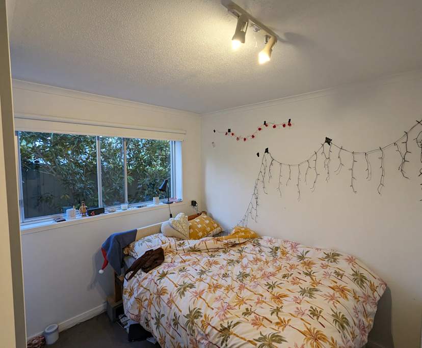 Room in a share house