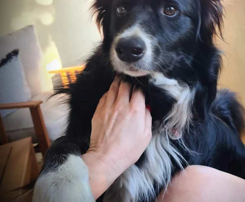 $350, Share-house, 3 bathrooms, Rivervale WA 6103