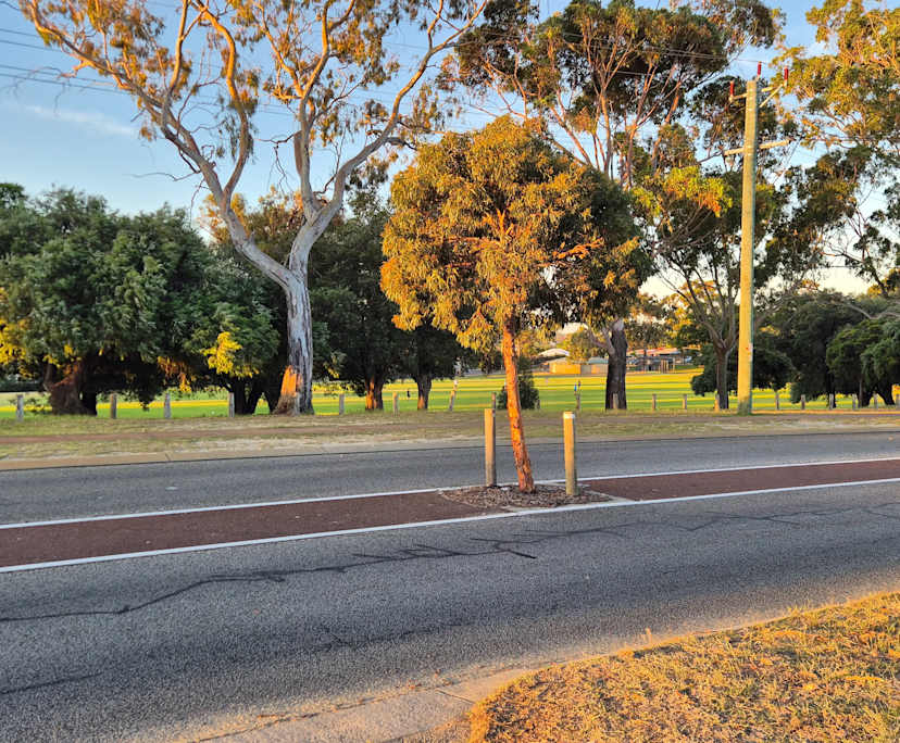 $350, Share-house, 3 bathrooms, Craigie WA 6025