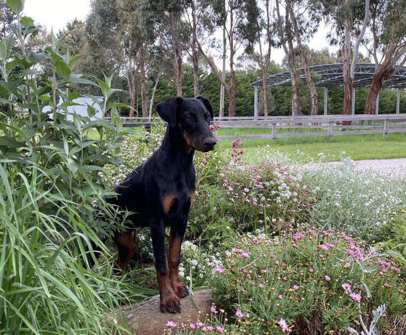 $300, Share-house, 4 bathrooms, Kyneton VIC 3444