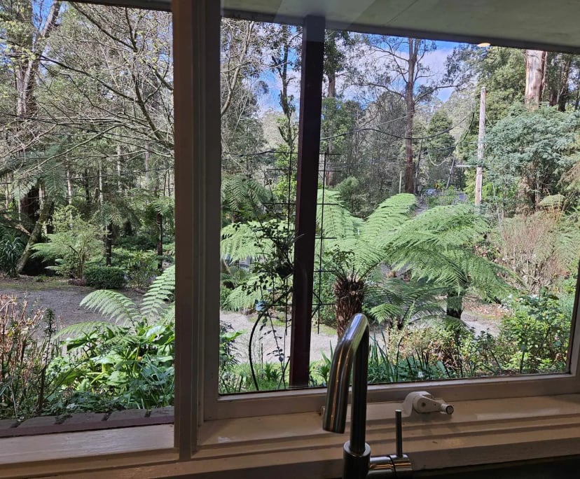 $300, Share-house, 4 bathrooms, Sassafras VIC 3787