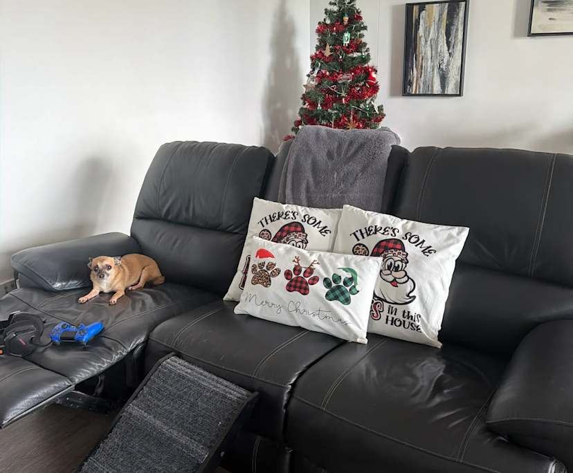 $370, Flatshare, 2 bathrooms, Darwin City NT 0800