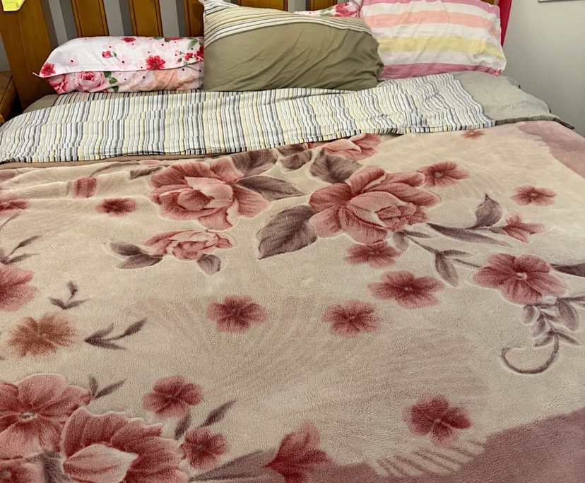 Whole property with 3 rooms for rent