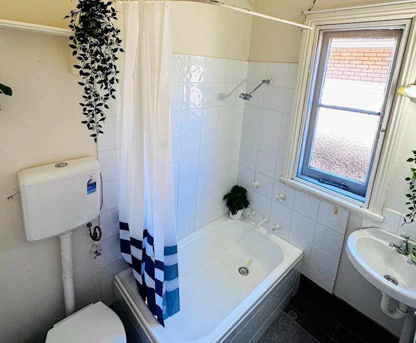 $260, Share-house, 6 bathrooms, Strathfield NSW 2135