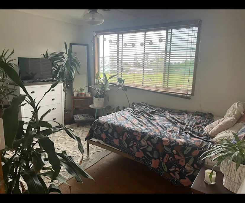 Room in a share house
