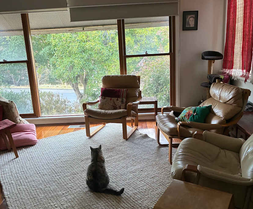 $220, Share-house, 2 bathrooms, Belmont VIC 3216