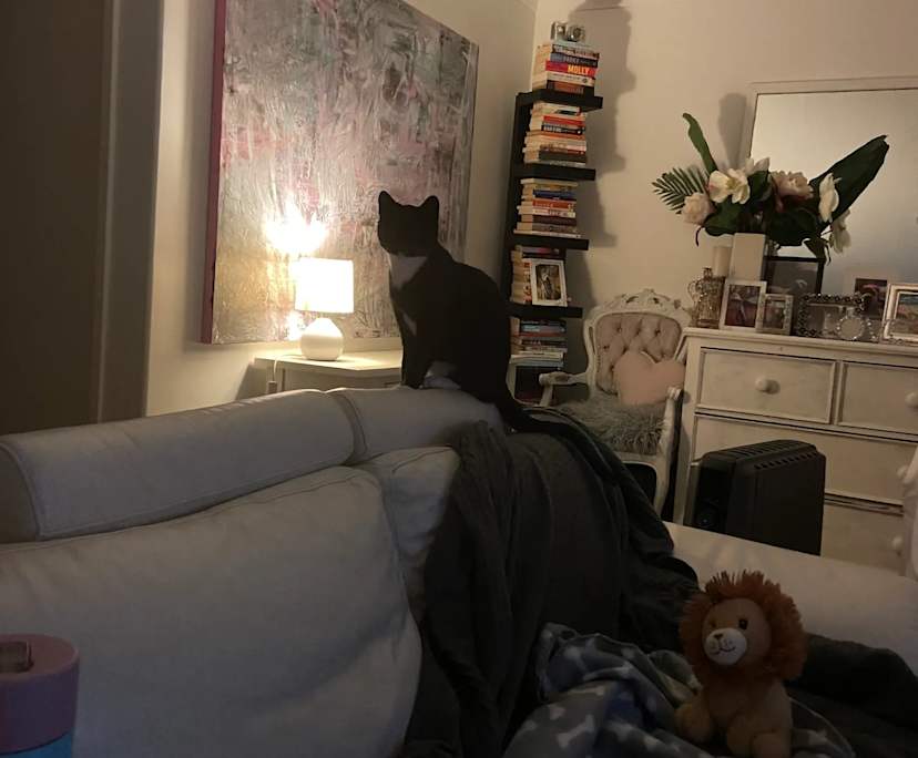 Room in a share house