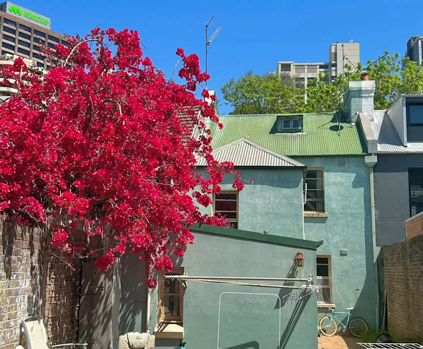 $350, Share-house, 6 bathrooms, Darlinghurst NSW 2010