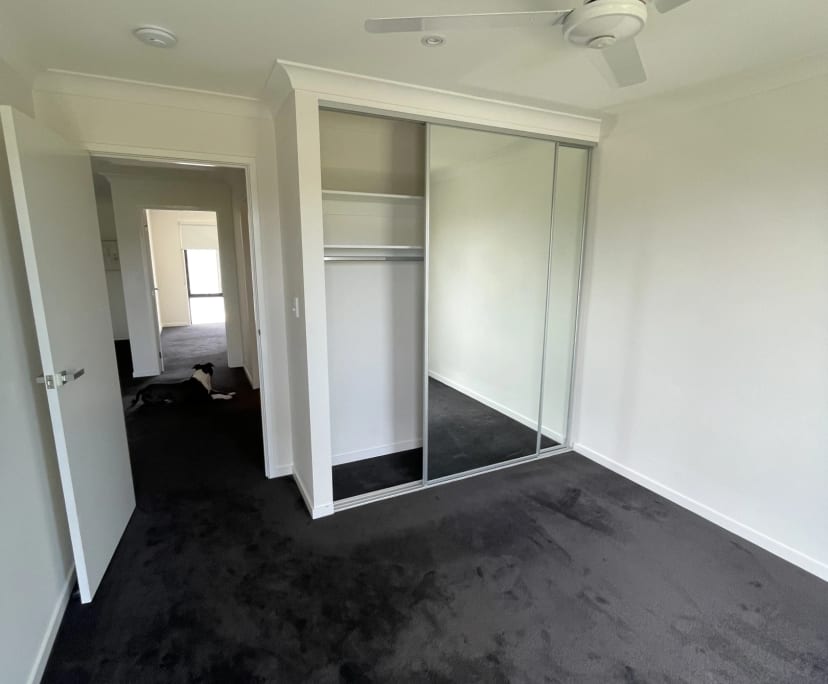 $300, Share-house, 3 bathrooms, Hope Island QLD 4212