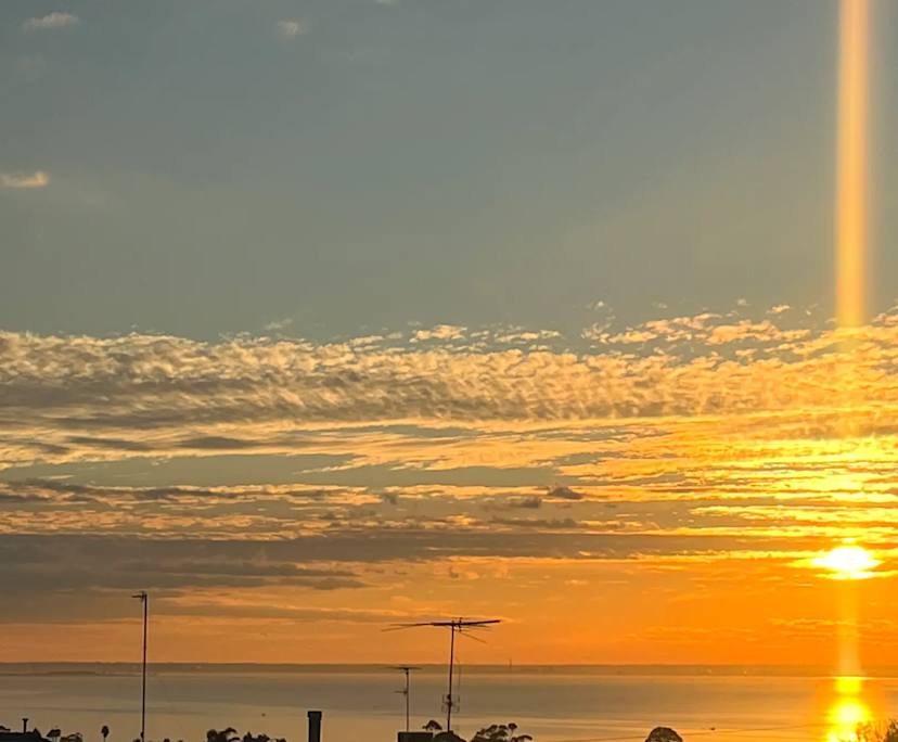 Room in a share house