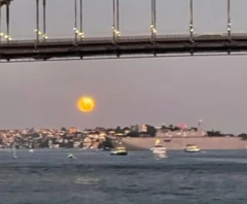 $550, Share-house, 3 bathrooms, Lavender Bay NSW 2060