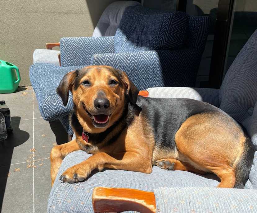 $400, Share-house, 3 bathrooms, St Kilda VIC 3182