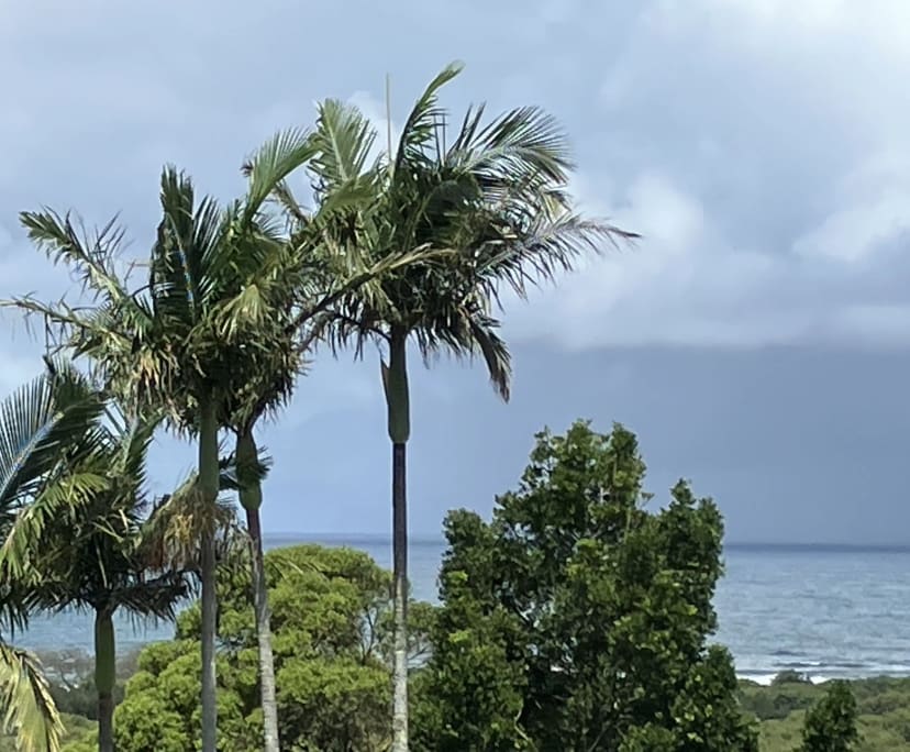 $400, Share-house, 4 bathrooms, Ocean Shores NSW 2483