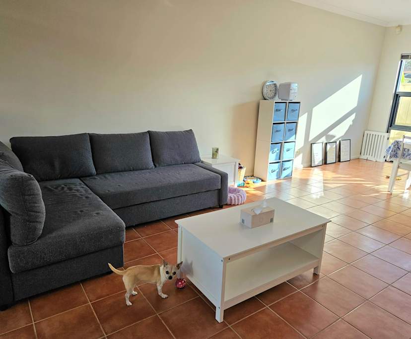 Room in a share house