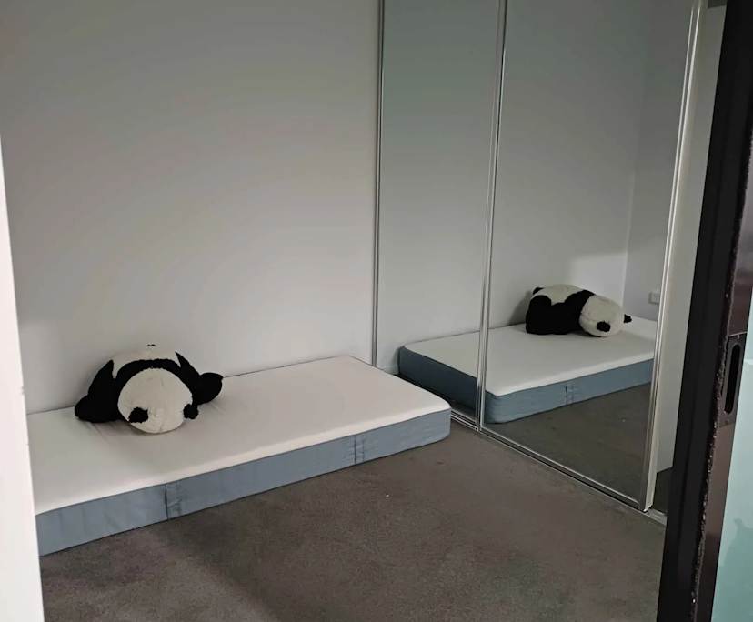 $260, Share-house, 2 bathrooms, Belconnen ACT 2617