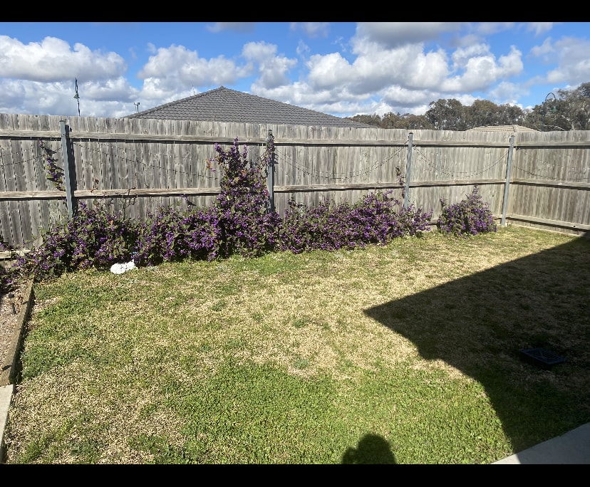 $283, Share-house, 3 bathrooms, Ngunnawal ACT 2913