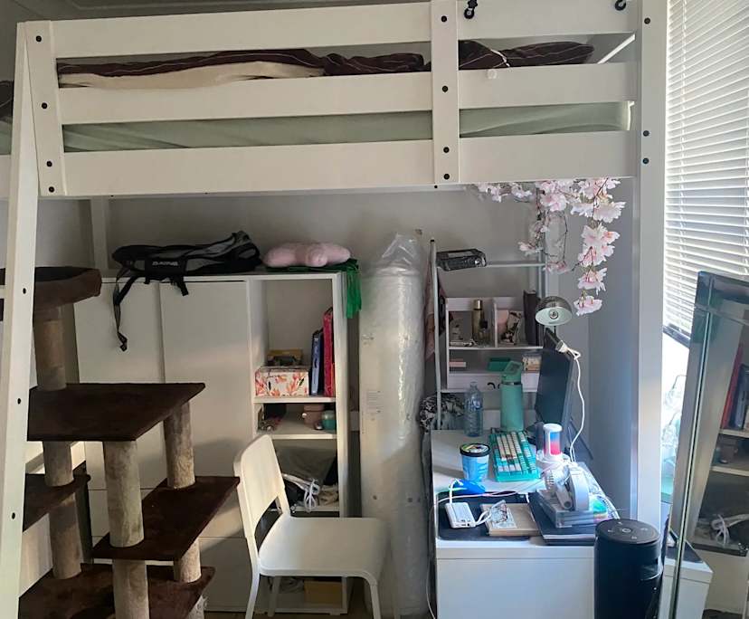 Room in a share house