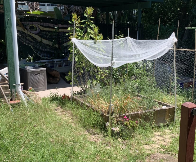 $230, Share-house, 4 bathrooms, Indooroopilly QLD 4068