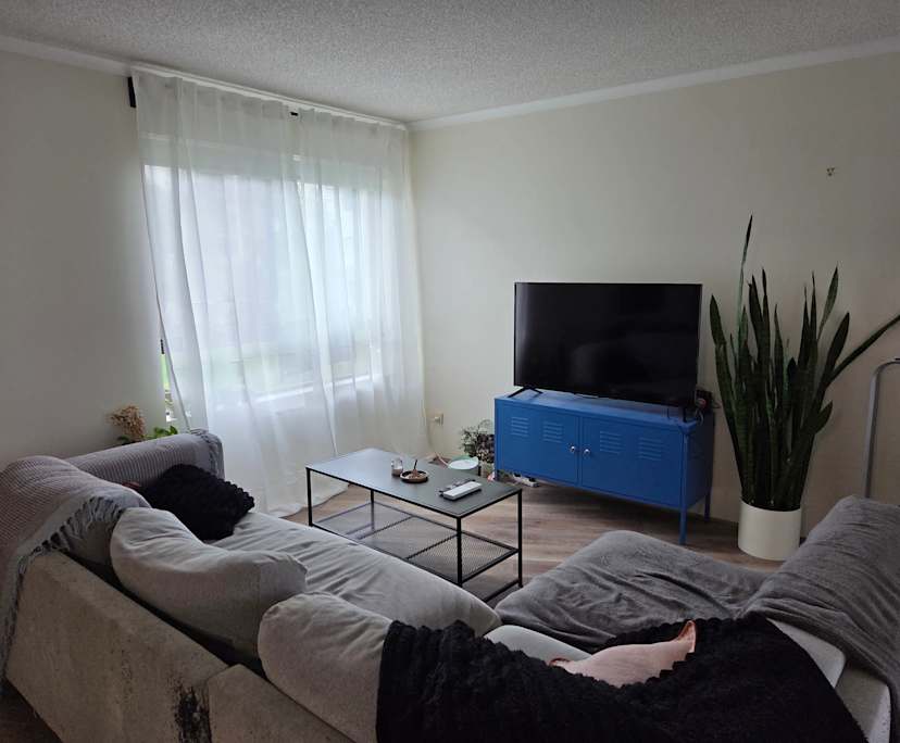 $320, Flatshare, 2 bathrooms, Coorparoo QLD 4151