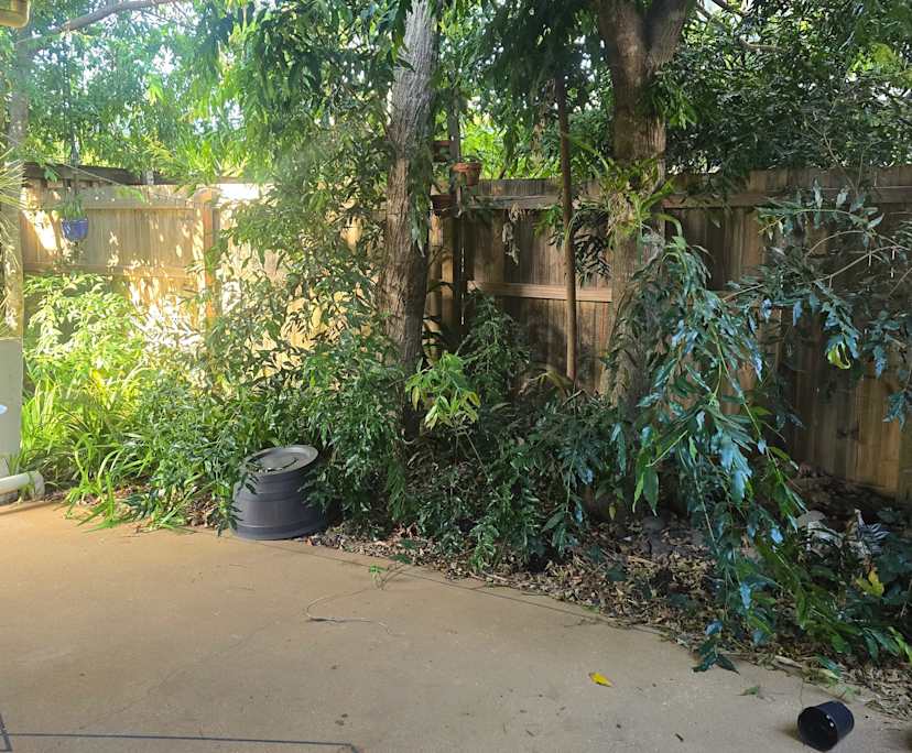 $265, Share-house, 3 bathrooms, Stones Corner QLD 4120