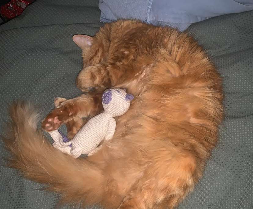 $174, Share-house, 2 rooms, Deception Bay QLD 4508, Deception Bay QLD 4508