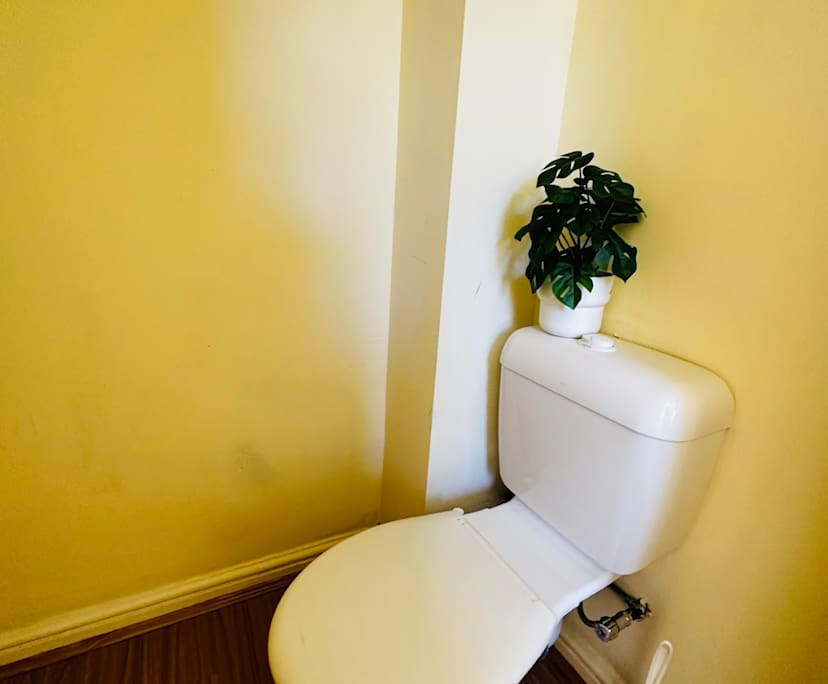 $320, Share-house, 6 bathrooms, Surry Hills NSW 2010