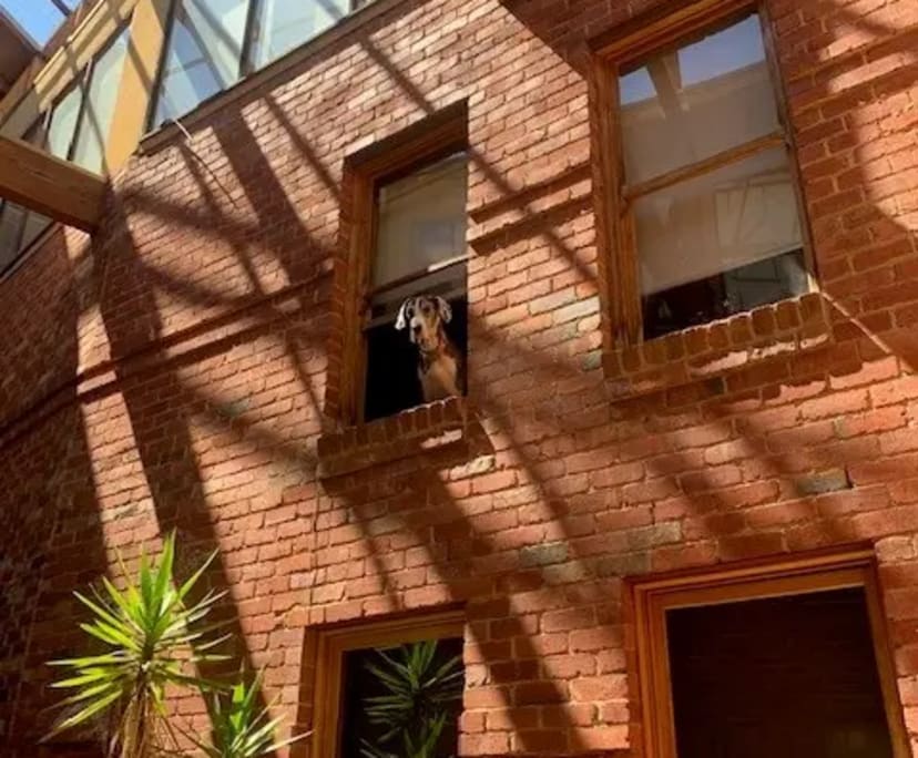 $380, Flatshare, 2 bathrooms, Collingwood VIC 3066