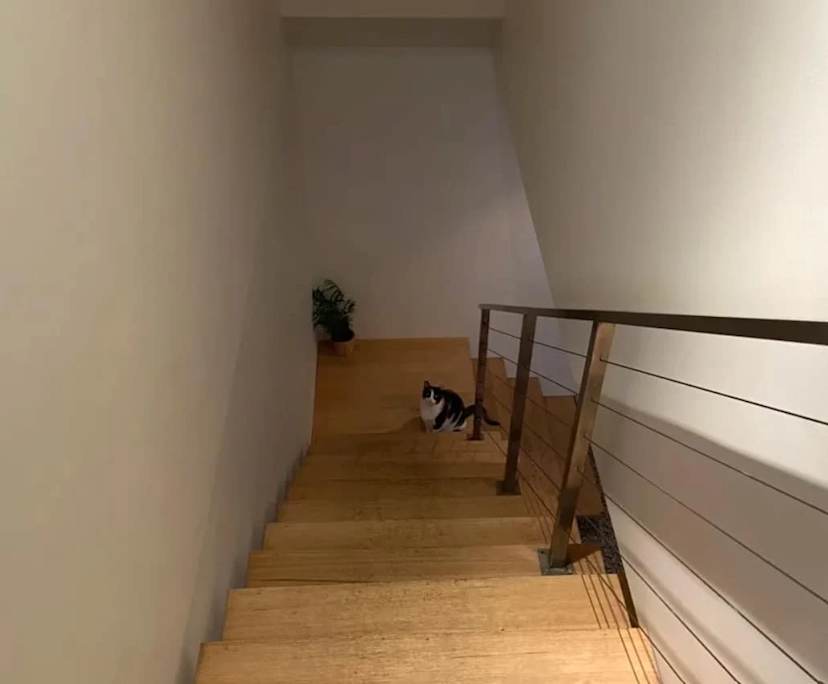 $325, Flatshare, 2 bathrooms, Richmond VIC 3121