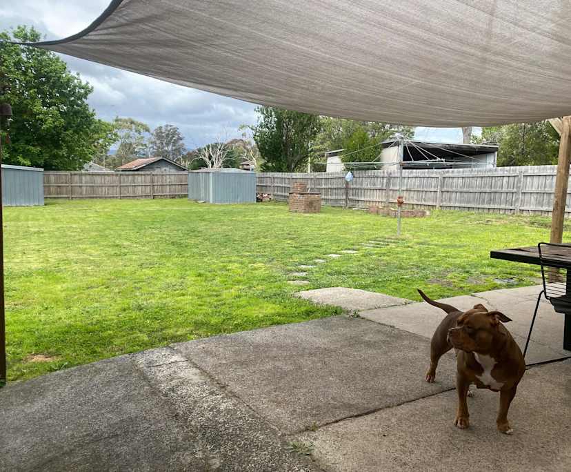 $220, Share-house, 3 bathrooms, Wantirna VIC 3152