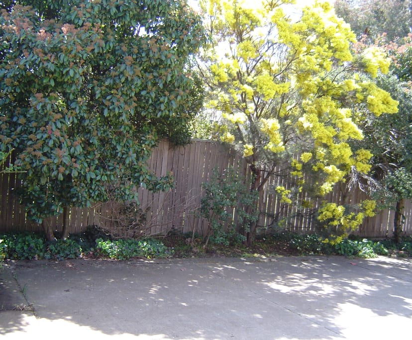 $285, Share-house, 3 bathrooms, Braddon ACT 2612