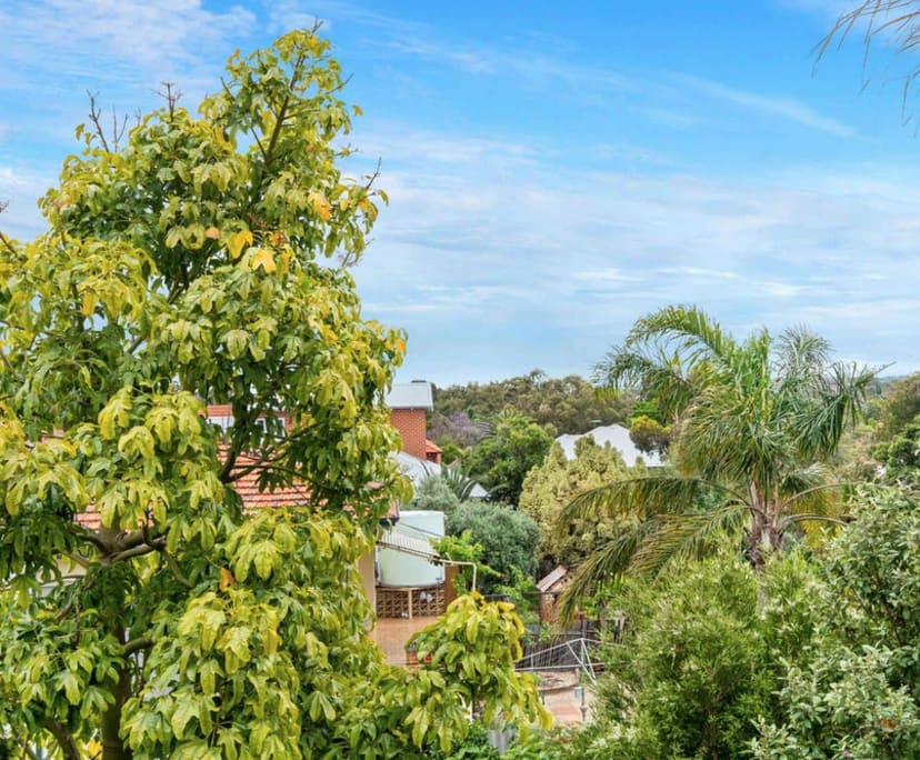 $590, 1-bed, 1 bathroom, Mount Lawley WA 6050