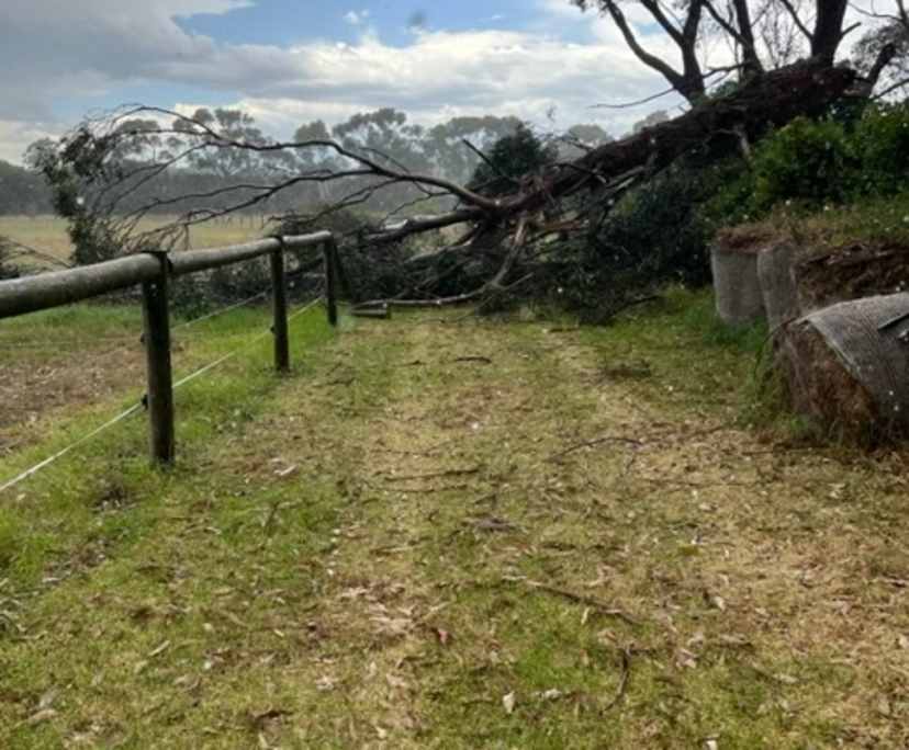 $280, Homestay, 1 bathroom, Skye VIC 3977