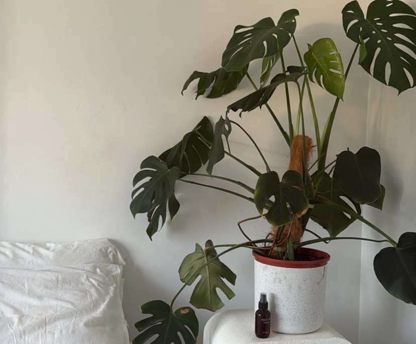 $350, Share-house, 3 bathrooms, Nedlands WA 6009