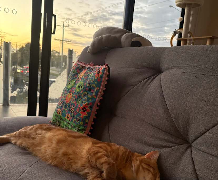 Furnished room with ensuite in a share house