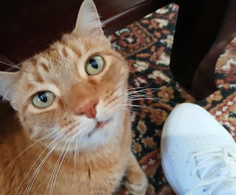 $240, Share-house, 2 rooms, Sandy Beach NSW 2456, Sandy Beach NSW 2456