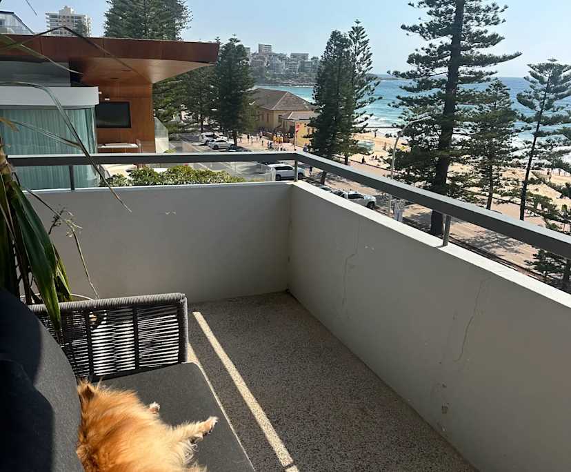 $525, Flatshare, 2 bathrooms, Manly NSW 2095