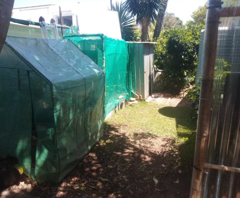 $315, Flatshare, 2 bathrooms, Sunrise Beach QLD 4567