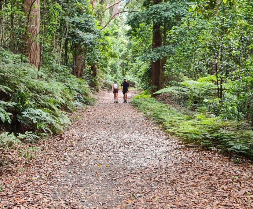 $350, Share-house, 3 rooms, Albion Park NSW 2527, Albion Park NSW 2527