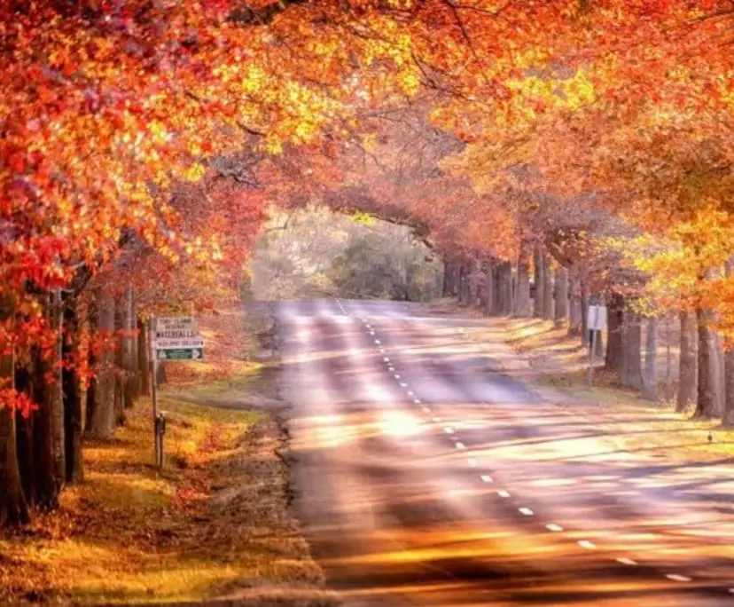 $220, Share-house, 4 bathrooms, Kyneton VIC 3444