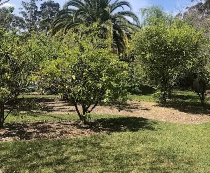 $300, Share-house, 4 bathrooms, Woodford NSW 2778