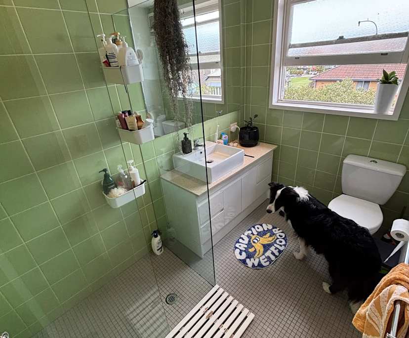 $650, Flatshare, 2 bathrooms, Coogee NSW 2034