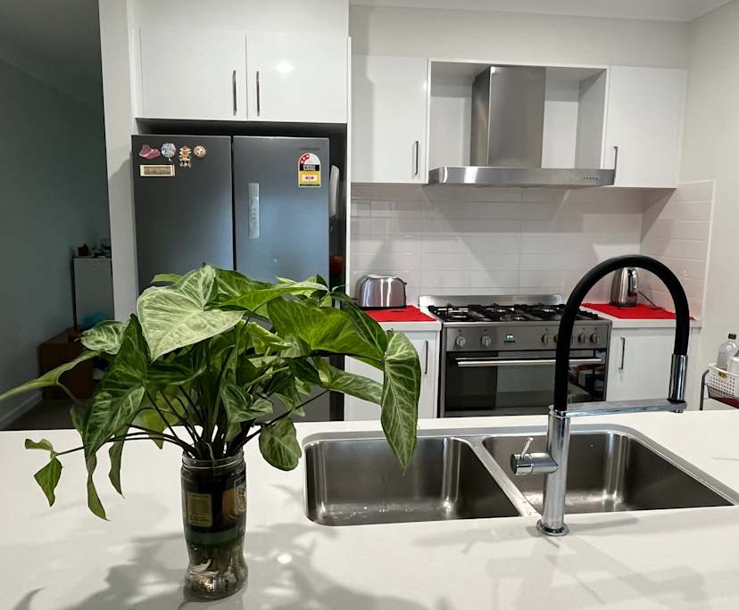 $250-300, Share-house, 3 rooms, Leppington NSW 2179, Leppington NSW 2179