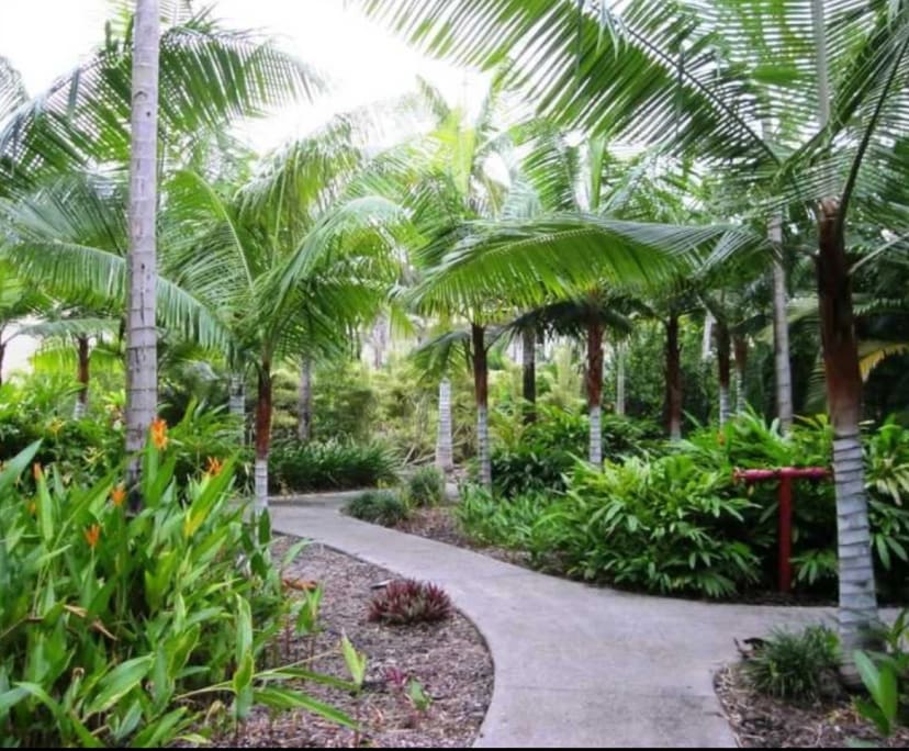 $350, Flatshare, 3 bathrooms, Cannonvale QLD 4802