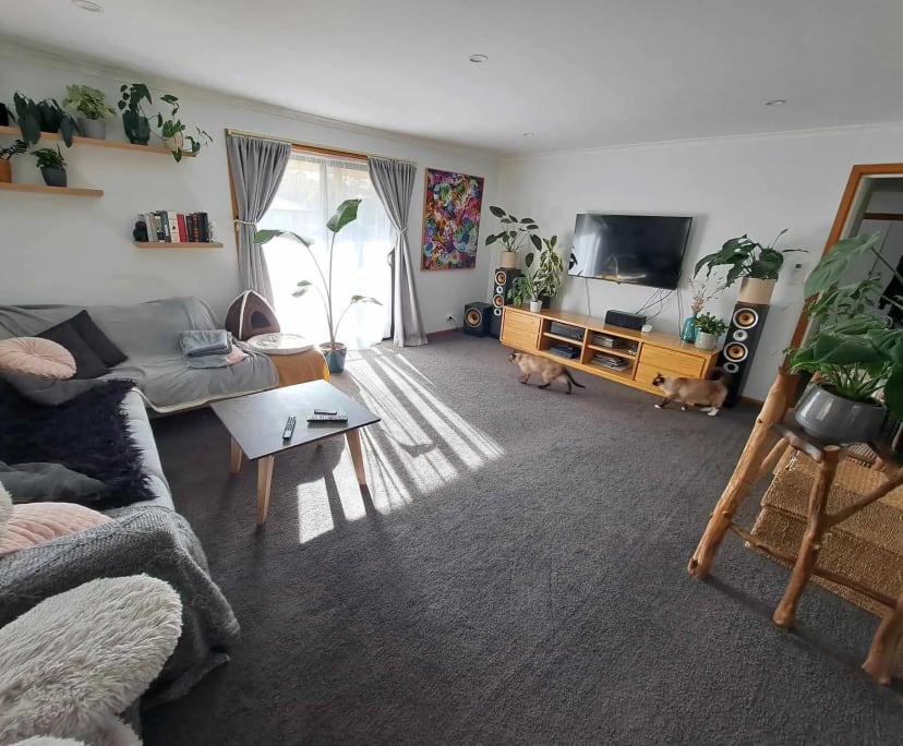 Room in a share house