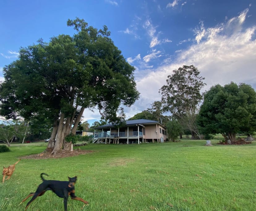 Room for Rent in Tintenbar, NSW 150, Flexible wit...