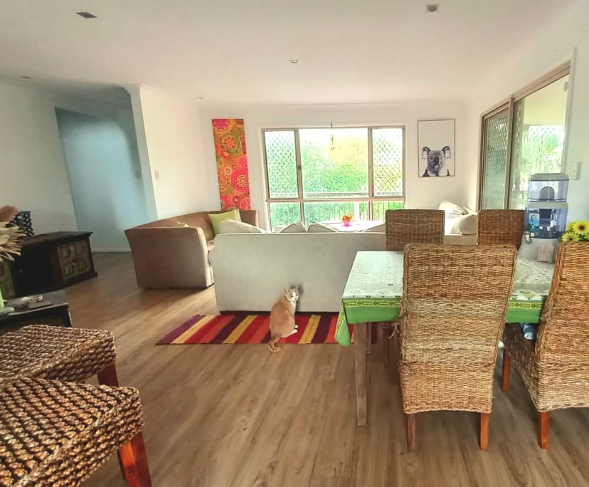 Room in a share house