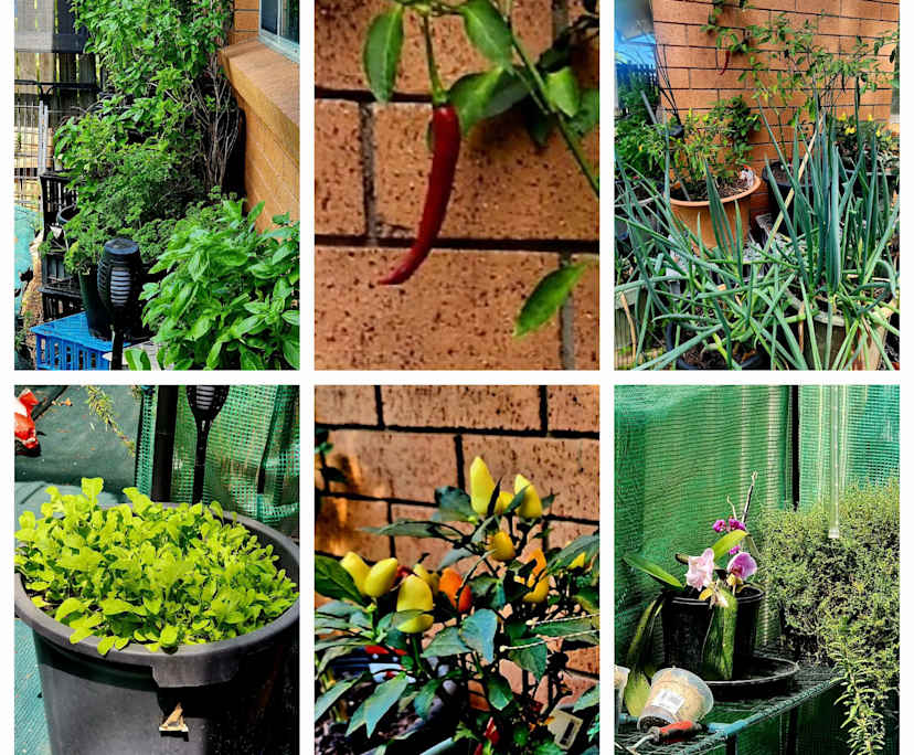 $275, Share-house, 6 bathrooms, Mansfield QLD 4122