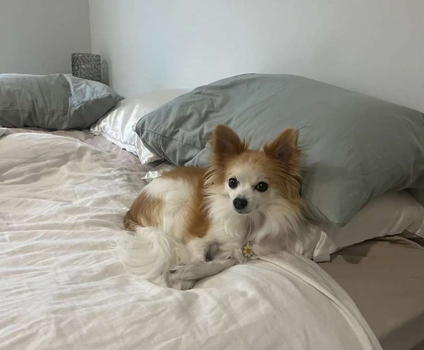 $300, Share-house, 4 bathrooms, Banya QLD 4551