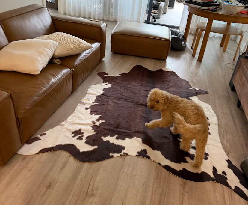 Room with ensuite in a flatshare